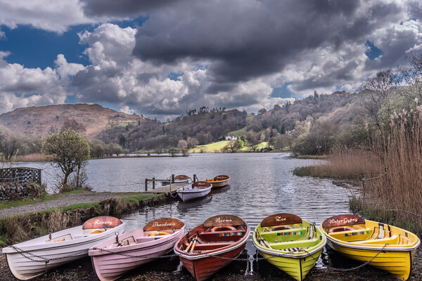 Rowing Boats @ Grasmere Picture Board by Kate Lake