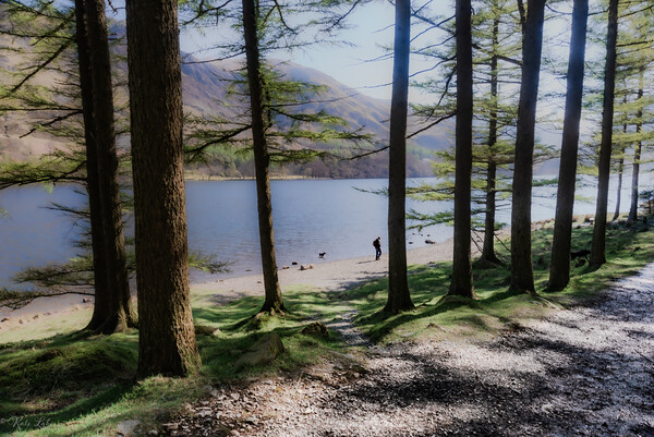 Buttermere Lake Walk Picture Board by Kate Lake