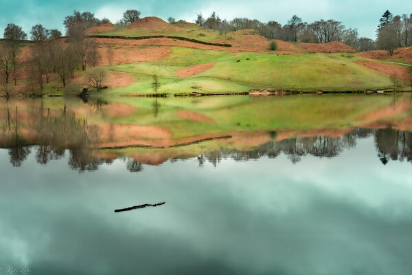 Floating Log Tarn Hows Picture Board by Kate Lake
