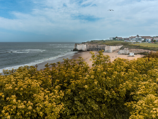Botany Bay Vista Broadstairs, Kent Picture Board by Kate Lake