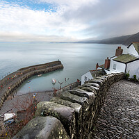 Clovelly Harbour Vista