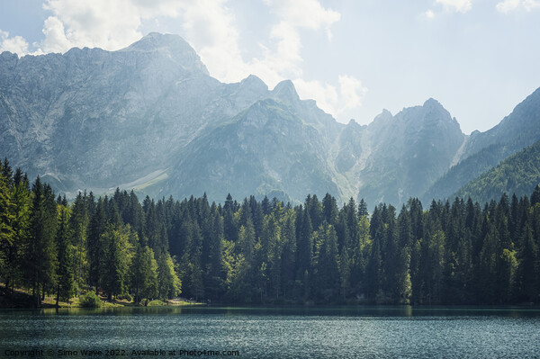 Coniferous and Alpine lake Picture Board by Simo Wave