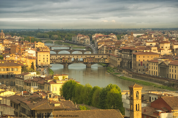 Aerial view of Florence Picture Board by Simo Wave