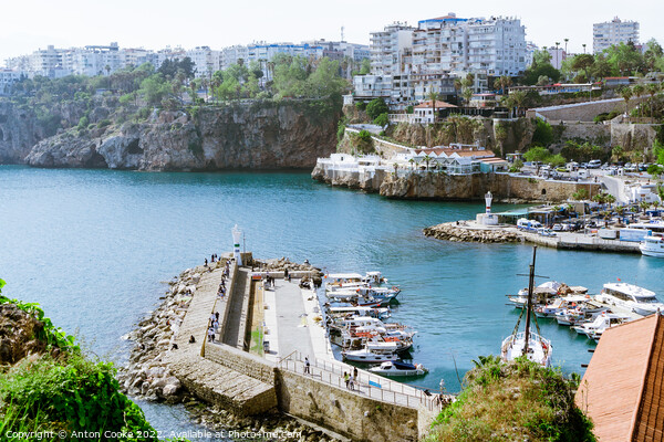 Antalya Turkey Marina Old Town Picture Board by Anton Cooke