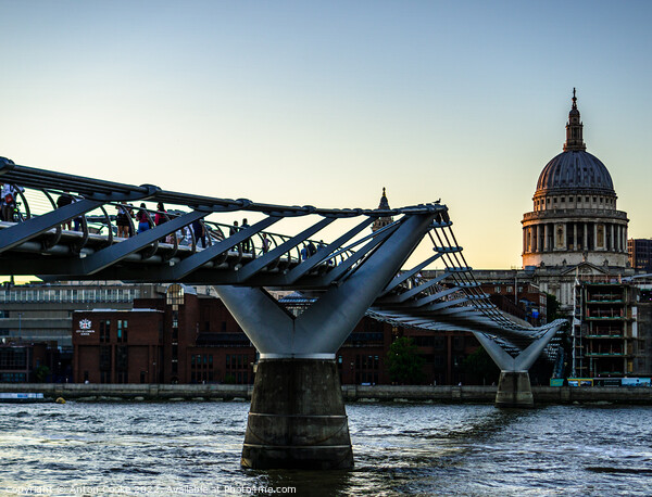 Millennium Bridge & St Pauls Cathedral Picture Board by Anton Cooke