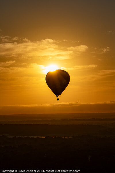 Sunrise over Hot Air Balloon Picture Board by David Aspinall