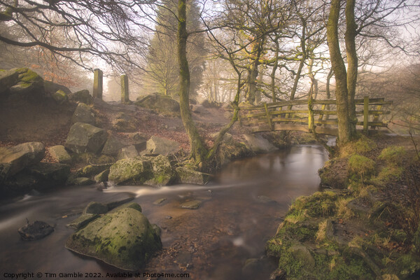 Padley Gorge By Moonlight Picture Board by Tim Gamble