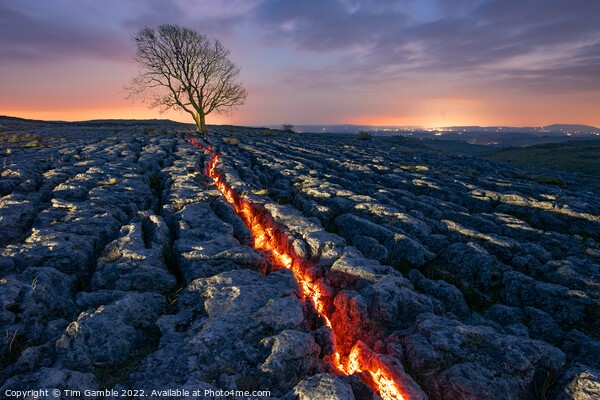 Malham Lone Tree Light Painting Picture Board by Tim Gamble