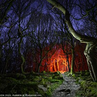 Buy canvas prints of Fantasy Woodland Scene by Tim Gamble