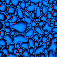 Buy canvas prints of Water Droplets  by Tim Gamble