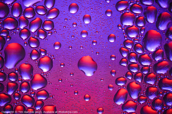 Colourful Water droplets Picture Board by Tim Gamble