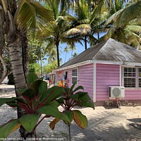 Buy canvas prints of House on beach  by Teresa James