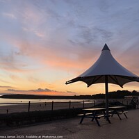 Buy canvas prints of Barry Island  by Teresa James