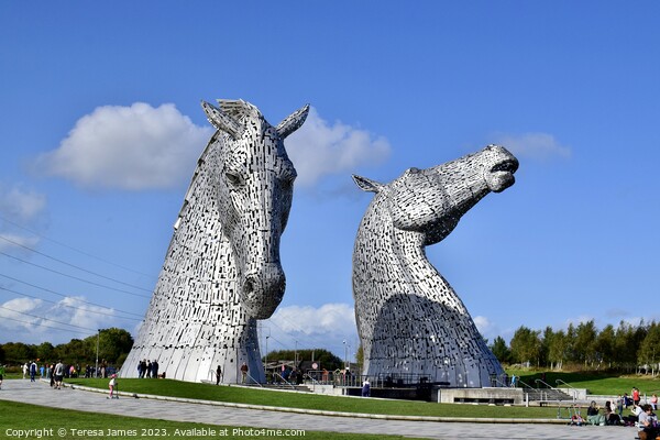 Kelpies shining on a sunny day  Picture Board by Teresa James