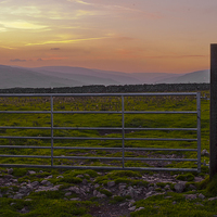 Buy canvas prints of Farm gate at sunset by Chris Walker