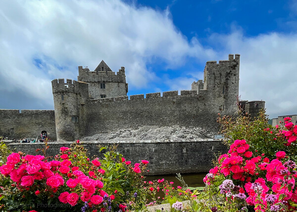 Outdoor cahir castle Tipperary Ireland  Picture Board by aileen stoddart