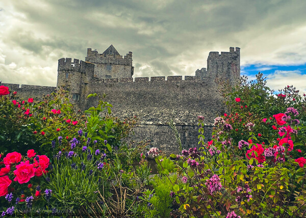 Cahir Castle Tipperary   Picture Board by aileen stoddart
