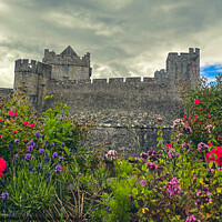 Buy canvas prints of Cahir Castle Tipperary   by aileen stoddart