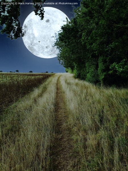 To the moon and back Picture Board by Mark Harvey