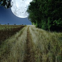 Buy canvas prints of To the moon and back by Mark Harvey