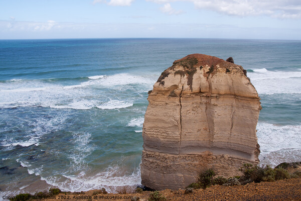 Curvature of the earth seen from the Great Ocean Road Picture Board by Sally Wallis