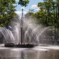 Buy canvas prints of Fountain in Peterhof, St Petersburg by Sally Wallis