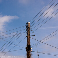 Buy canvas prints of Crossed Wires by Sally Wallis