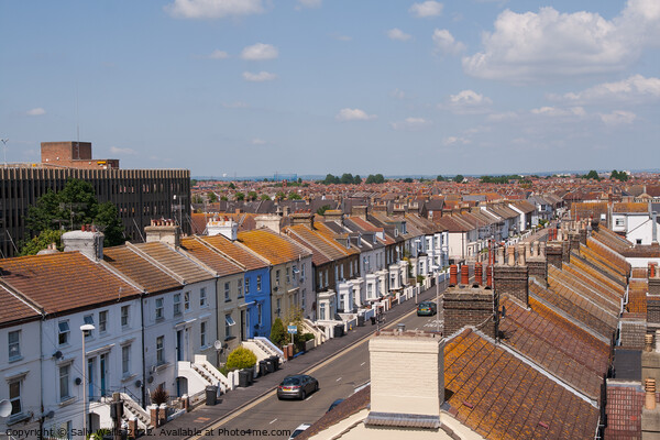 View Over Rooftops at Eastbourne, East Sussex Picture Board by Sally Wallis