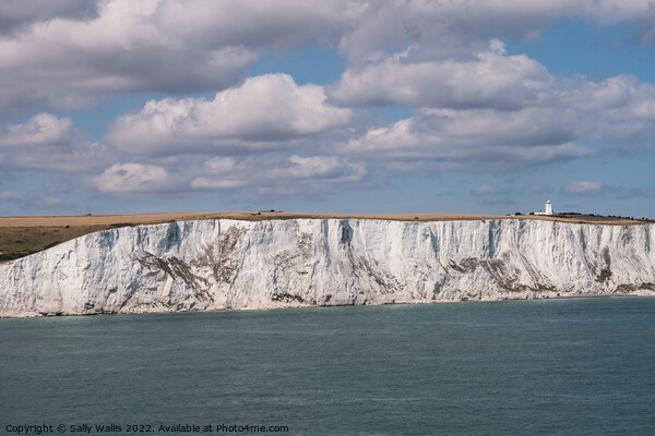 White Cliffs of Dover Picture Board by Sally Wallis