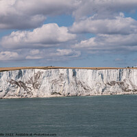 Buy canvas prints of White Cliffs of Dover by Sally Wallis