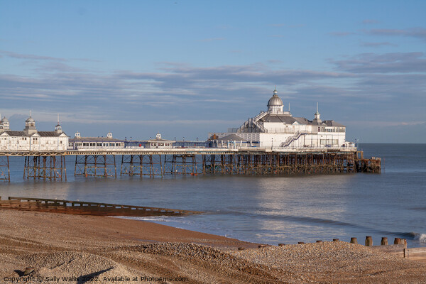 Eastbourne Pier late evening light Picture Board by Sally Wallis