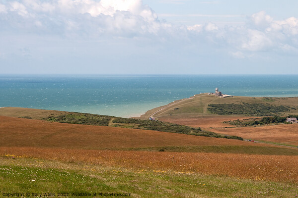 View over South Downs towards Bel Tout Lighthouse Picture Board by Sally Wallis