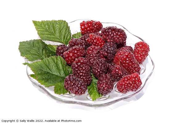 fresh tayberries on a glass plate Picture Board by Sally Wallis