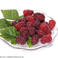 Buy canvas prints of fresh tayberries on a glass plate by Sally Wallis