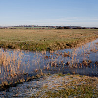 Buy canvas prints of Meeting of two frozen Pevensey Marsh Dykes by Sally Wallis