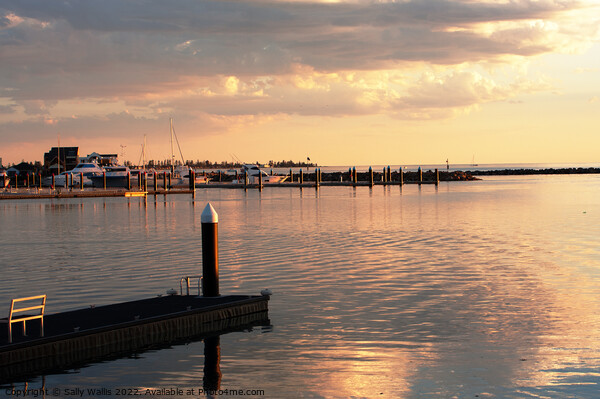 Sunset on Adelaide Yacht Marina entrance Picture Board by Sally Wallis