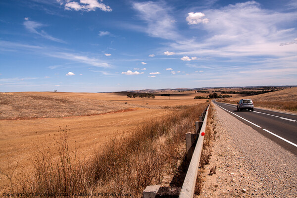 The Open Road, Kapunda, South Australia Picture Board by Sally Wallis