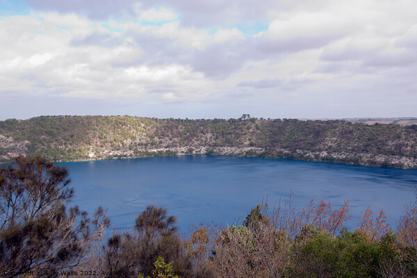 Blue Lake, Mount Gambier, South Australia Picture Board by Sally Wallis