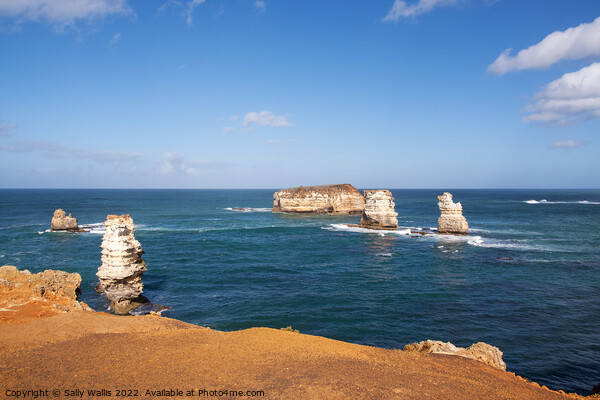The Apostles, Great Ocean Road Picture Board by Sally Wallis