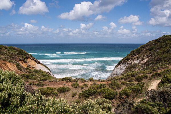 Southern Ocean from Australian coast Picture Board by Sally Wallis