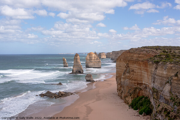The seven remaining Apostles, Victoria, Australia Picture Board by Sally Wallis