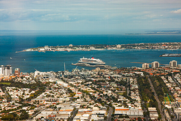 Cruise Liner leaving Melbourne Picture Board by Sally Wallis