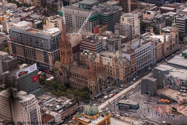 Aerial View of Melbourne City Centre Picture Board by Sally Wallis