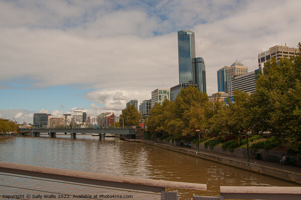 Yarra River winding through Melbourne Picture Board by Sally Wallis
