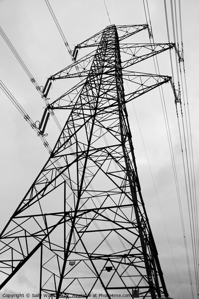Perspective of pylon  Picture Board by Sally Wallis