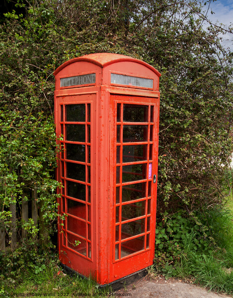 Disused telephone Kiosk Picture Board by Sally Wallis