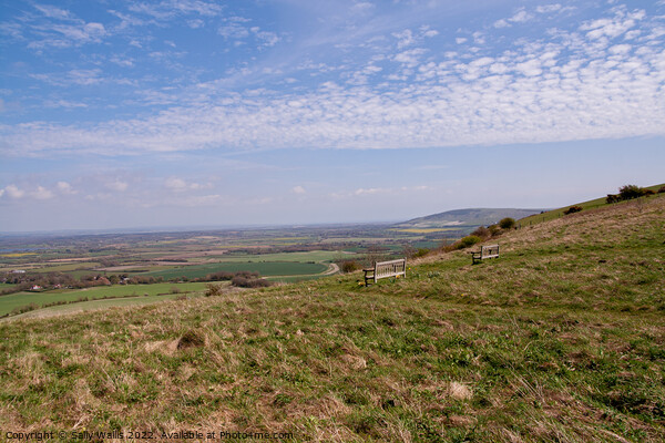 Look-out from South Downs Picture Board by Sally Wallis