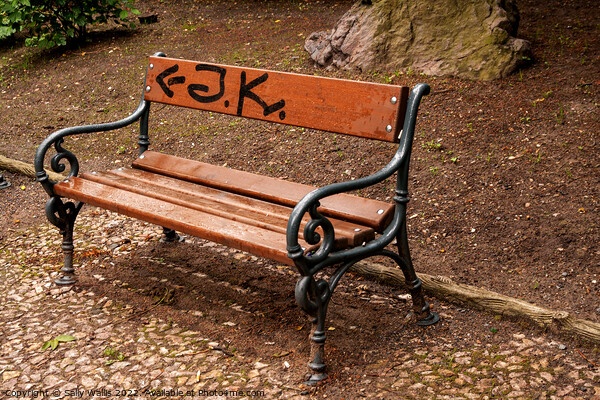 Graffiti on a park bench Picture Board by Sally Wallis