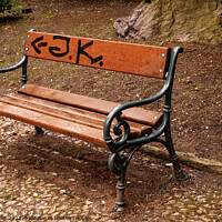 Buy canvas prints of Graffiti on a park bench by Sally Wallis