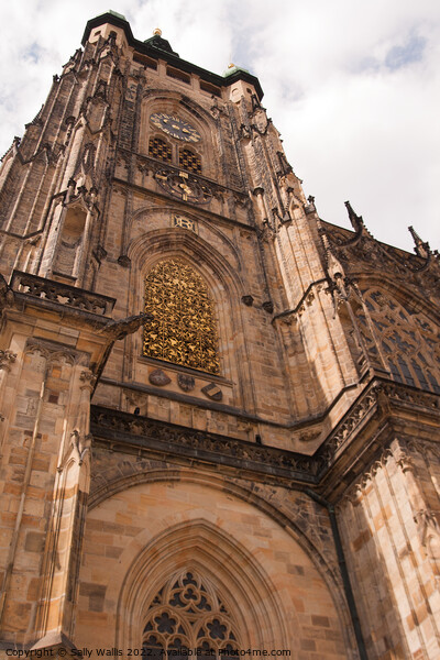 Tower in Prague Castle Picture Board by Sally Wallis
